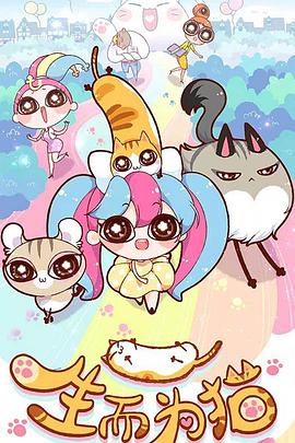 青州网站seo优化